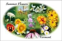 Summer Flowers of Vermont Collage